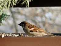 DSC02150.webp