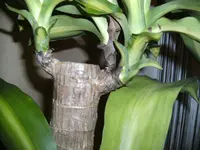 BILD0009.webp