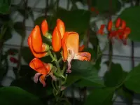 Januar 2010 849 v.webp