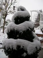 Spiralekl.webp