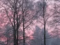 IMG_0113.webp