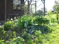 Garten April4 007.webp