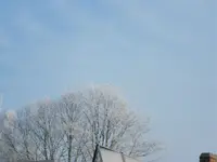 IMG_0122.webp