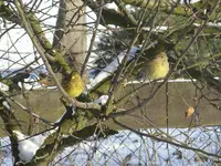 Fotos 002.webp