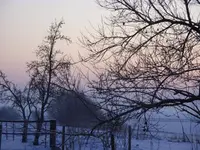 Fotos 003.webp