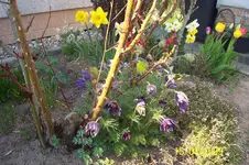 100_1427.webp