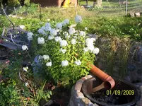 100_2072.webp