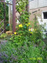 100_1817.webp