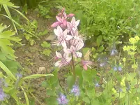 DSC00288.webp