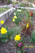 100_1431.webp