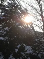 Januar 2010 Garten 004.webp
