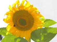 CIMG6774.webp