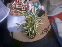 Bild 123.webp