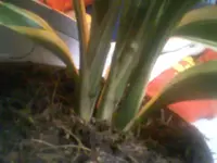 Bild 122.webp