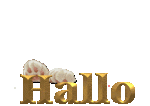 Katzen_Hallo.gif