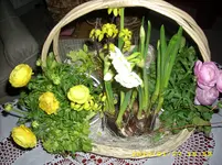 JD500490.webp