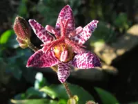 IMG_dark form_1280x960.webp