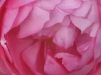 023.webp