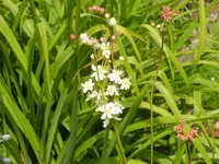 BILD0160.webp