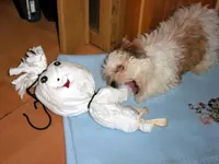 SA500147.webp