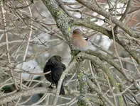DSC02184.webp