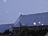DSC02254.webp
