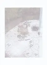 Planung Vorgarten.webp