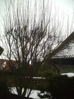 PIC00002.webp