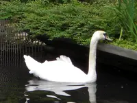 CIMG6498.webp