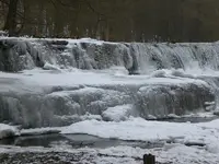 Jan.2010 009.webp