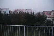 DSC05333.webp