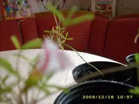 JD500272.webp