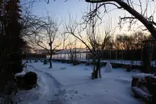IMG_0013.webp