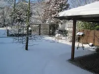 Bild 083.webp
