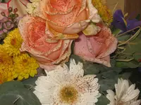 005.webp