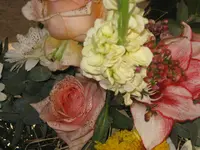 006.webp