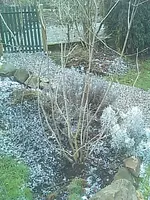 IMAGE_467.webp