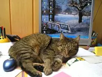 Oscar 30.Januar 2010 4.webp
