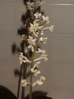 DSCF3967.webp