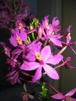 IMG_0060.webp