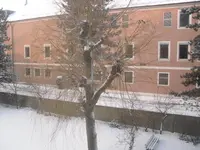 SDC11689.webp