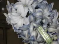 SDC10001.webp