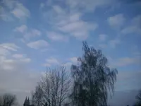 31.01.10 002.webp