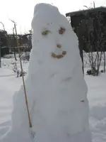 Januar 2010 Garten 017.webp