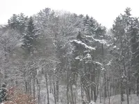 020.webp