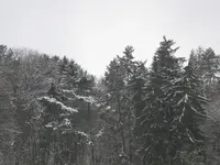 021.webp