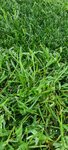 20220516_155803.jpg