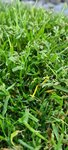 20220516_155859.jpg