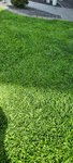 20220516_161031.jpg