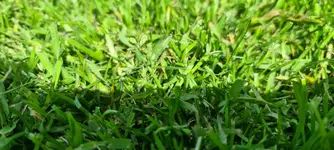 20220516_161935.webp